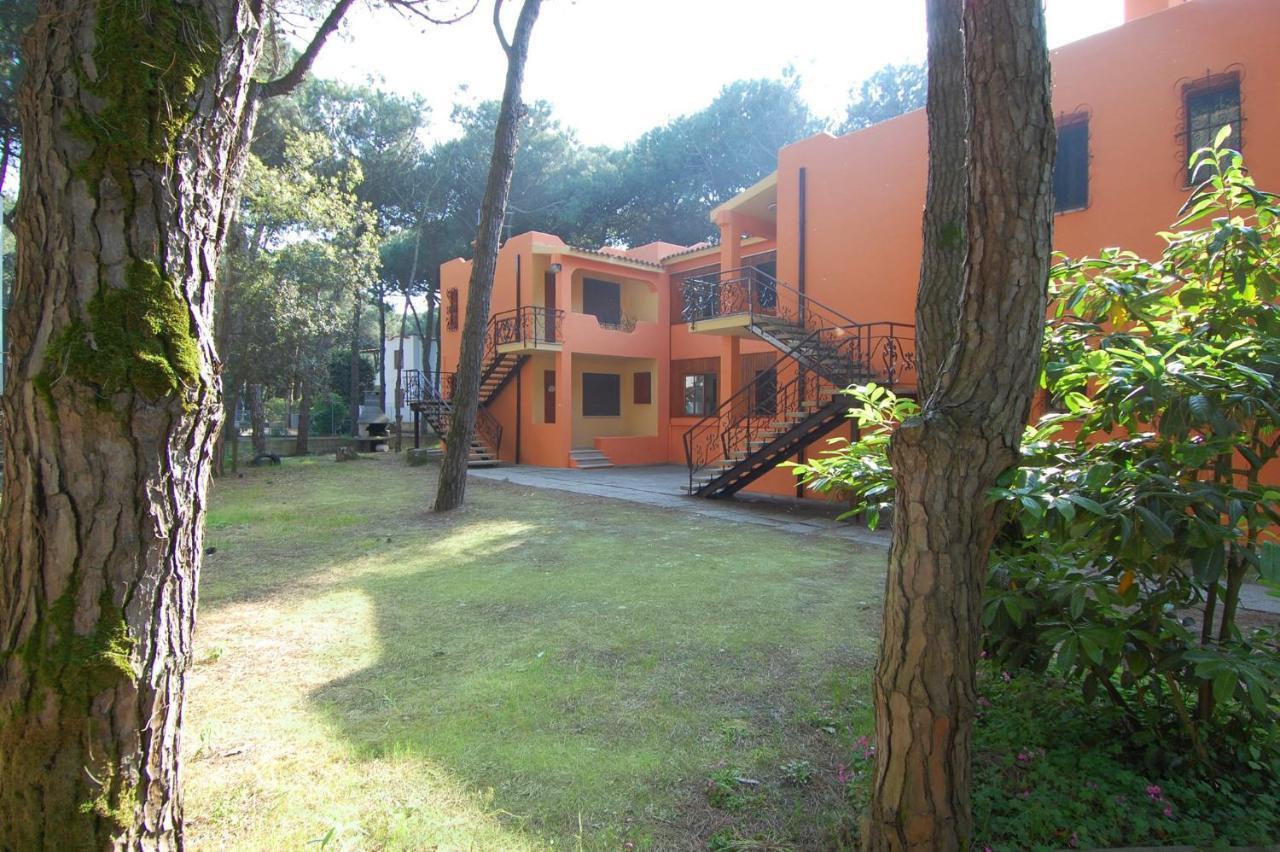 5 Apartment